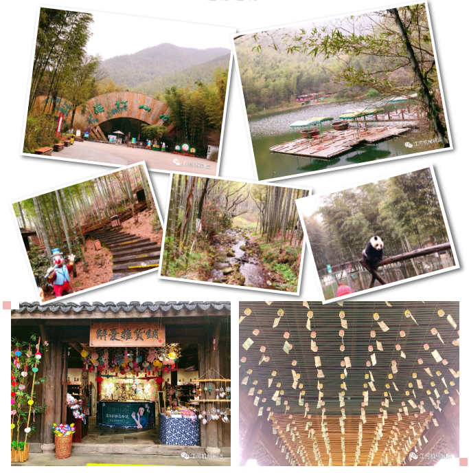 江苏皇冠集团女神节的旅游纪录